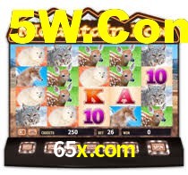 65x.com